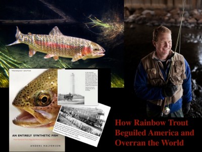 The Rainbow – An Entirely Synthetic Fish | Boulder Flycasters